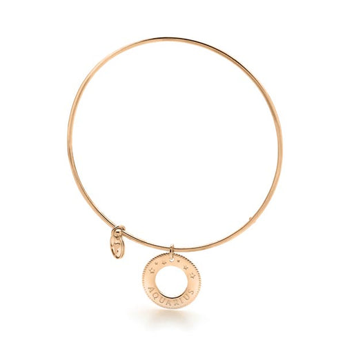 Aquarius Star Sign Bangle (Gold)